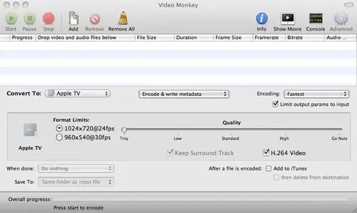 video monkey.webp