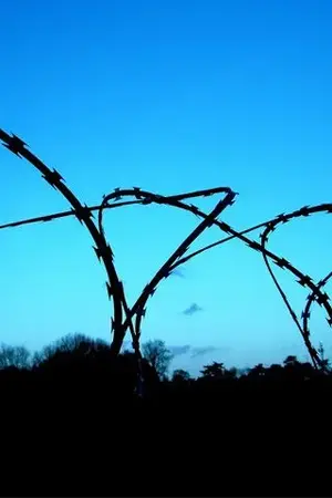 iPhone Barbed Wire Blue Background.webp