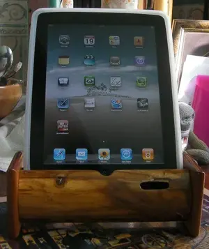 ipad stand.webp