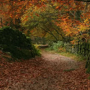 Autumn-in-Grasmere.webp