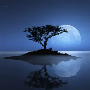 tree_night.webp