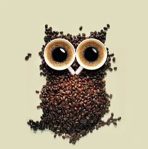 coffee_owl.webp