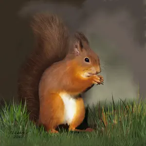 SaphireRedSquirrel.webp