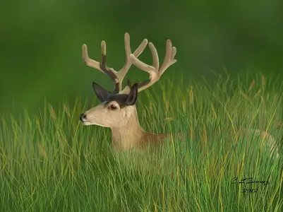 Stag-small.webp