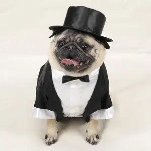 dog-tux-with-tails-and-top-hat.webp