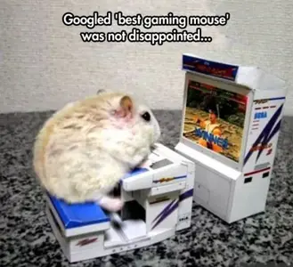 best-gaming-mouse.webp