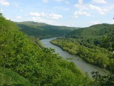 2 New River Birding Festival, Fayetteville area, West Virginia, May 1, 2012 (73).webp