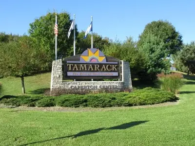 Tamarack1.webp