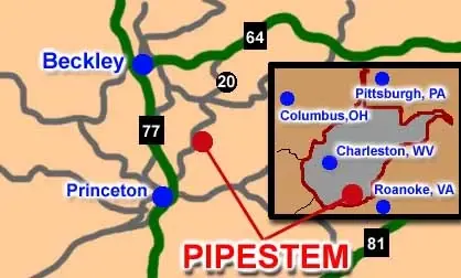 Pipestem4.webp