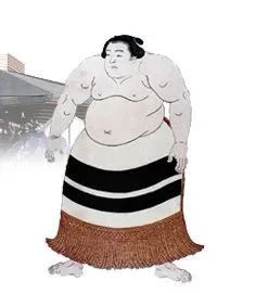 sumo