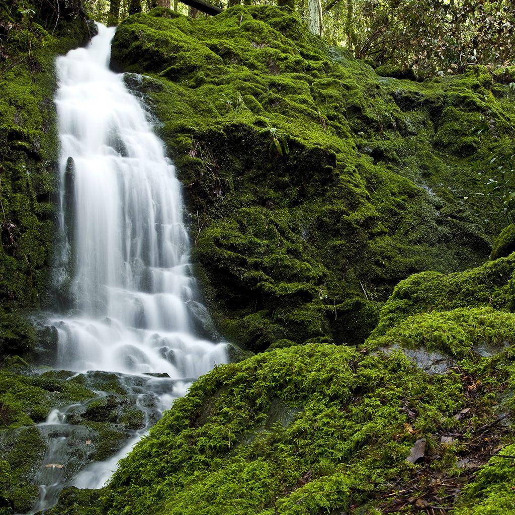 Waterfall