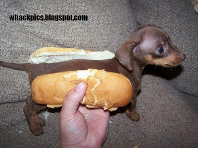 hotdog.jpg