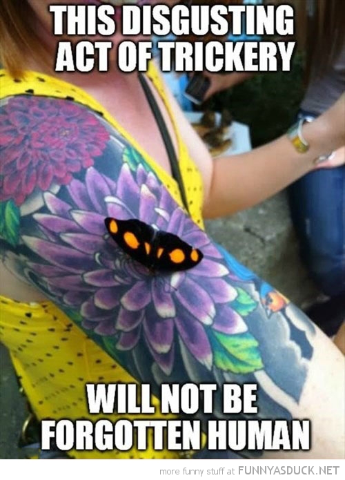 funny-pictures-butterfly-land-flower-tattoo.jpg