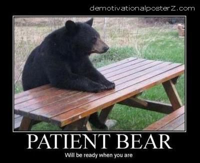 patient-bear.JPG