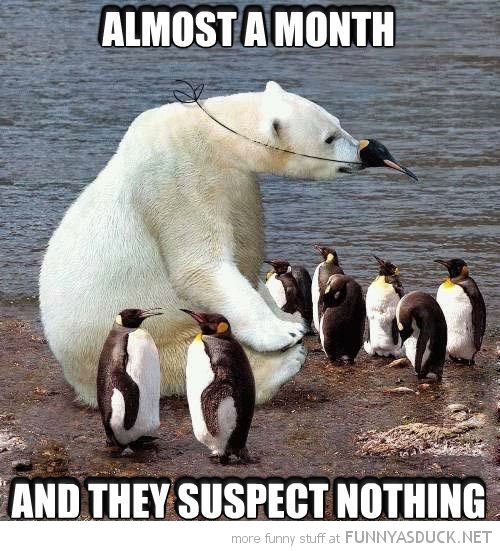 funny-polar-bear-penguin-costume-they-suspect-nothing-pics.jpg